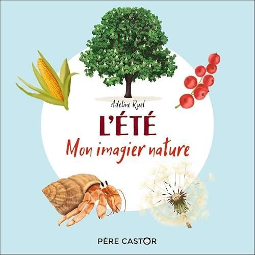 Mon imagier nature : L'été